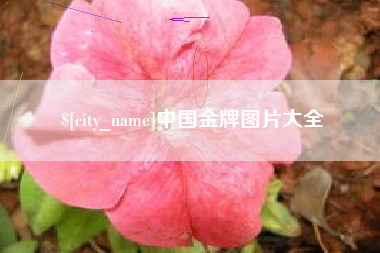 安庆中国金牌图片大全