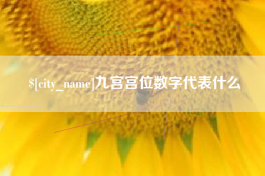 安庆九宫宫位数字代表什么