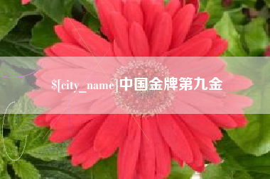 安庆中国金牌第九金