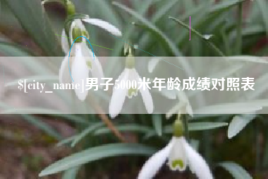 安庆男子5000米年龄成绩对照表