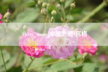 安庆中国地图9宫格
