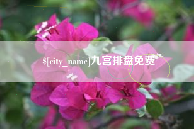 安庆九宫排盘免费