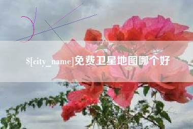 安庆免费卫星地图哪个好