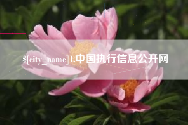安庆1.中国执行信息公开网