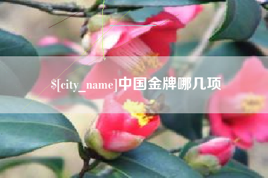安庆中国金牌哪几项