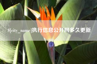 安庆执行信息公开网多久更新