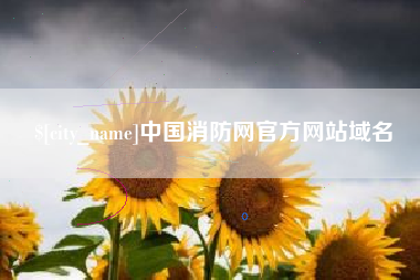 安庆中国消防网官方网站域名