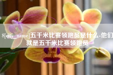 安庆五千米比赛领跑员是什么-他们就是五千米比赛领跑员