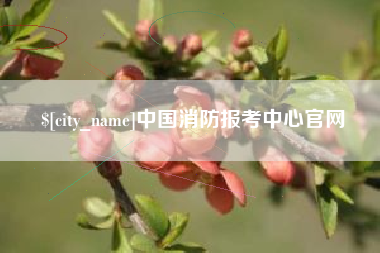 安庆中国消防报考中心官网
