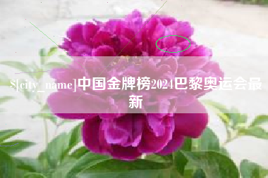 安庆中国金牌榜2024巴黎奥运会最新