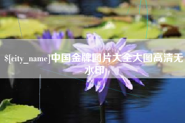 安庆中国金牌图片大全大图高清无水印
