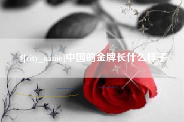 安庆中国的金牌长什么样子