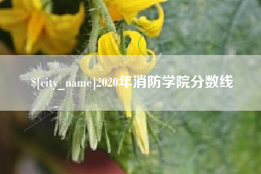 安庆2020年消防学院分数线