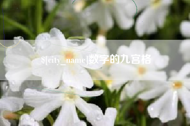 安庆数字的九宫格
