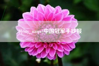 安庆中国冠军手抄报