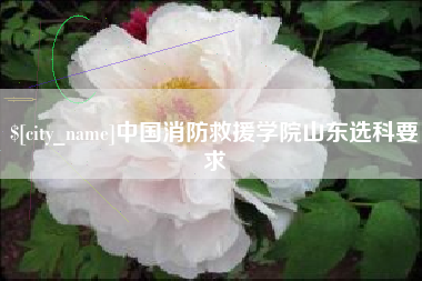 安庆中国消防救援学院山东选科要求