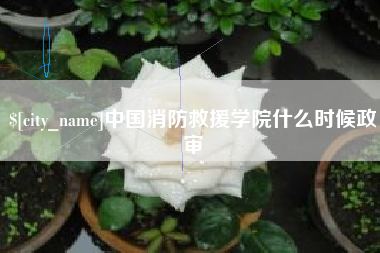 安庆中国消防救援学院什么时候政审