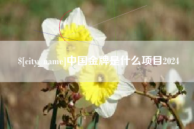 安庆中国金牌是什么项目2024