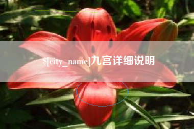 安庆九宫详细说明