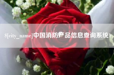 安庆中国消防产品信息查询系统1