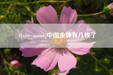 安庆中国金牌有几枚了