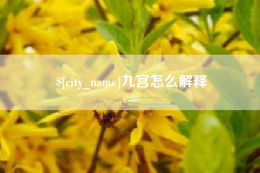 安庆九宫怎么解释