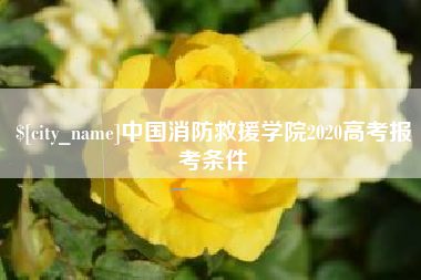 安庆中国消防救援学院2020高考报考条件