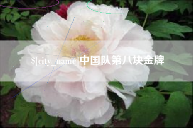安庆中国队第八块金牌