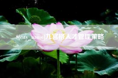 安庆九宫格人才管理策略