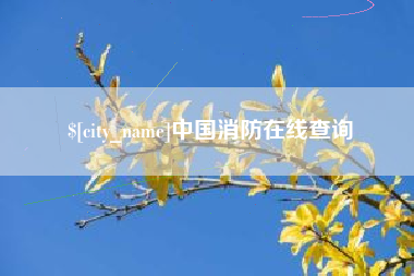 安庆中国消防在线查询
