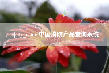 安庆中国消防产品查询系统