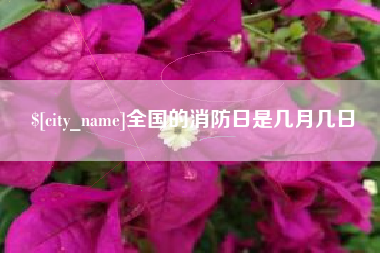 安庆全国的消防日是几月几日