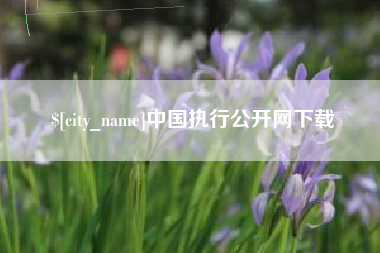 安庆中国执行公开网下载