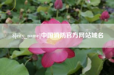 安庆中国消防官方网站域名