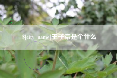 安庆王子豪是个什么