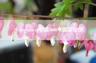 安庆中国5000米国家记录