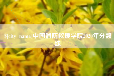 安庆中国消防救援学院2020年分数线