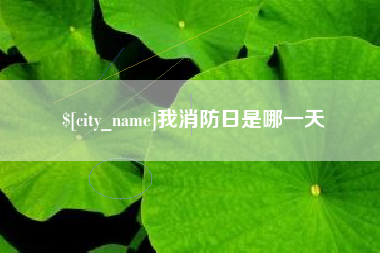 安庆我消防日是哪一天