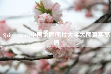 安庆中国金牌图片大全大图真实高清