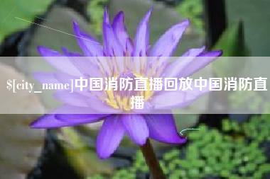 安庆中国消防直播回放中国消防直播