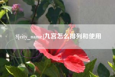 安庆九宫怎么排列和使用