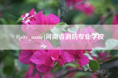 安庆河南省消防专业学校