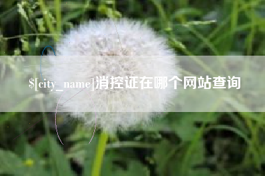 安庆消控证在哪个网站查询