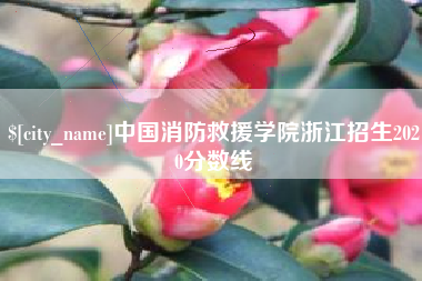 安庆中国消防救援学院浙江招生2020分数线