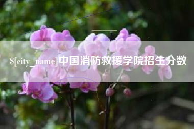 安庆中国消防救援学院招生分数
