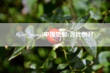 安庆中国地图(含比例尺)