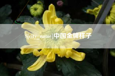 安庆中国金牌样子
