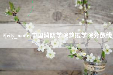 安庆中国消防学院救援学院分数线