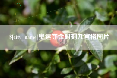 安庆奥运夺金时刻九宫格图片