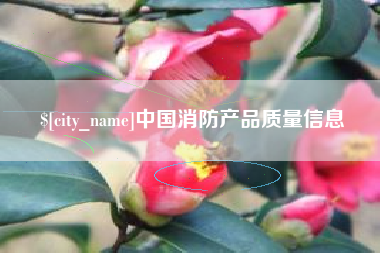 安庆中国消防产品质量信息